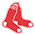 Home Team